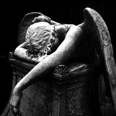 🥀 || Fallen Angel thumbnail