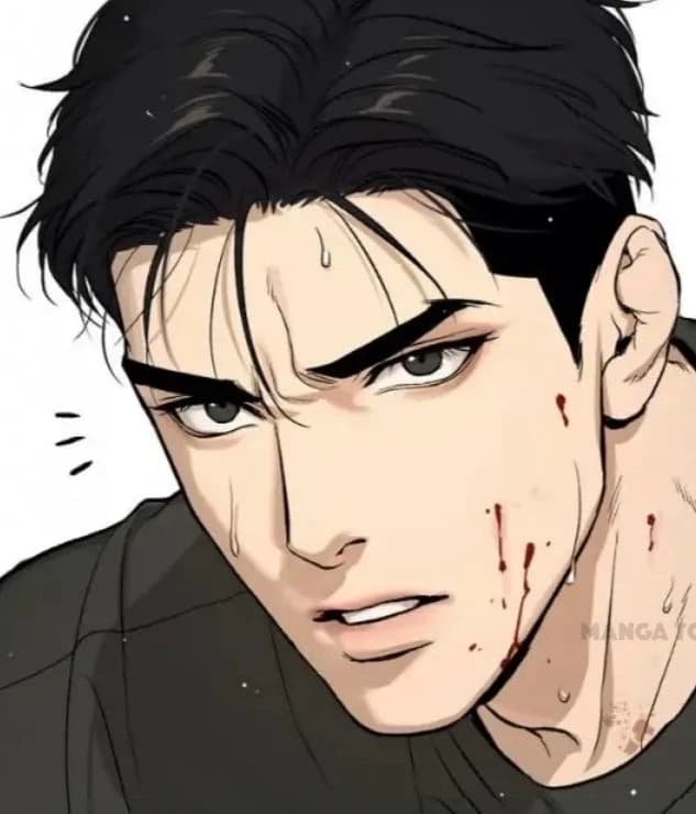 Boxer bf  thumbnail