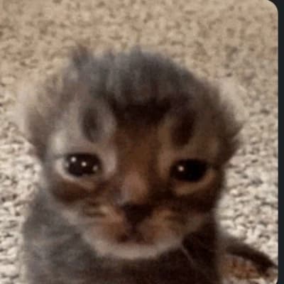 little brat, name it thumbnail