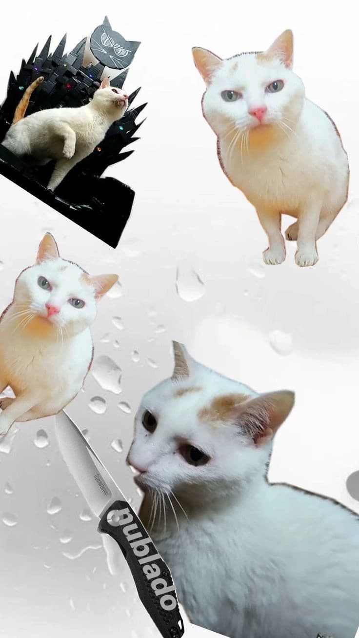 The Cloudy-Misi thumbnail