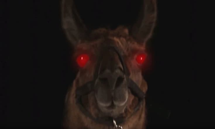 Llamgageddon  thumbnail