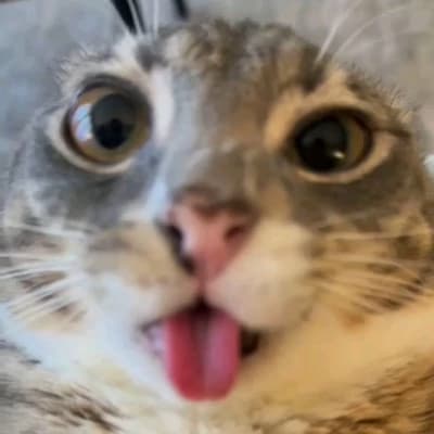 Cute Rigby thumbnail