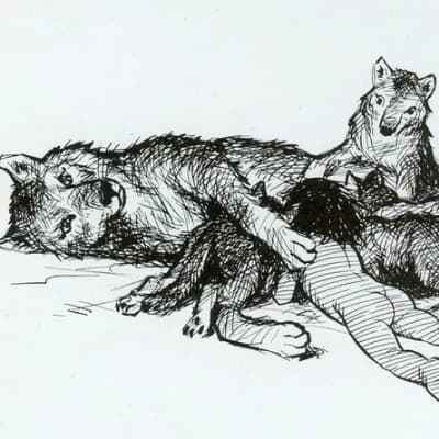 Wolf Parents thumbnail