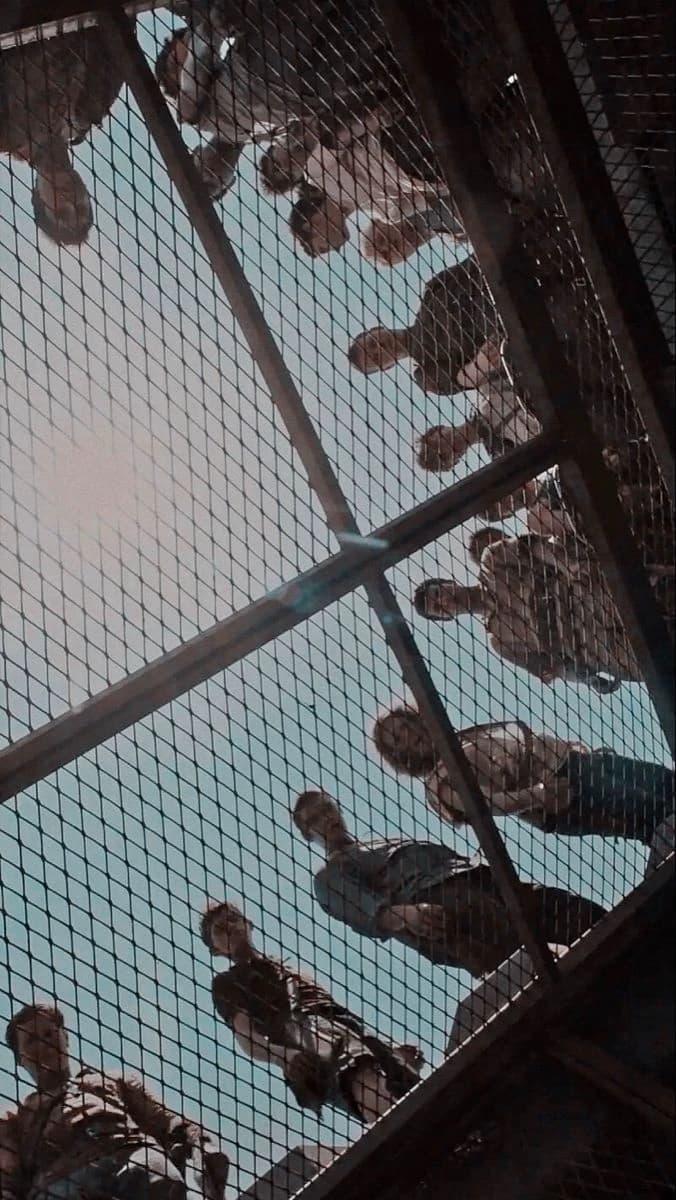 Maze the runner thumbnail