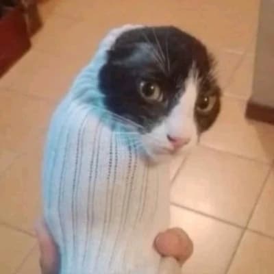 GigglesShitter, The Mirthful Architect of Decay thumbnail