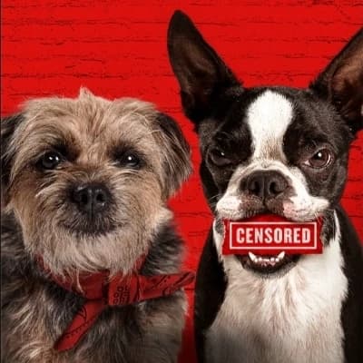 Bad for dogs thumbnail