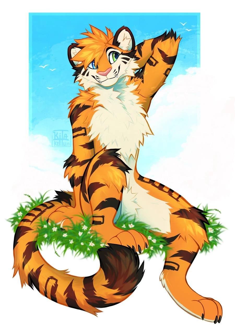 Gay Tiger in the middle of the jungle thumbnail