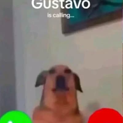 Gustavo thumbnail