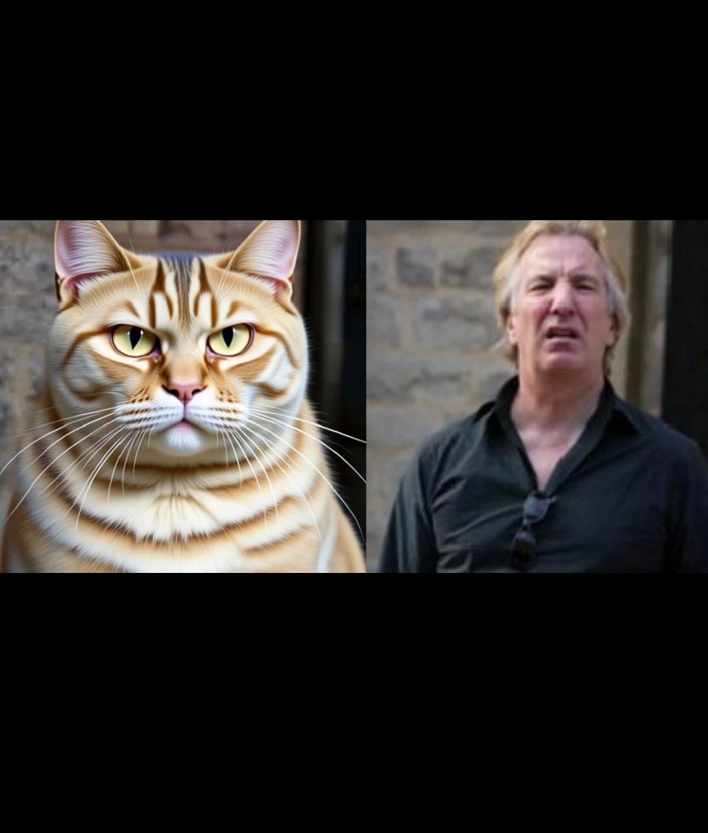 Alan Rickman [cat] thumbnail
