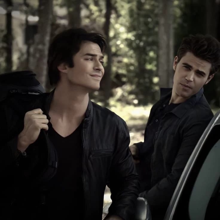 Your boys | Stefan and Damon 🙈❤️ 🔥 thumbnail