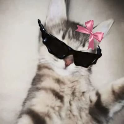 Dima thumbnail