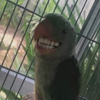 Seramof thumbnail