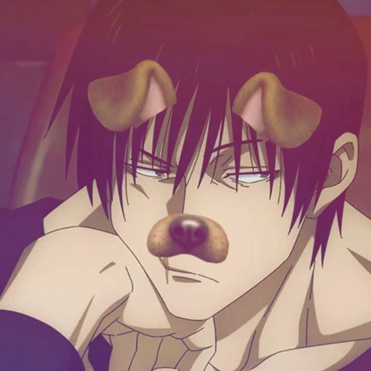 ✮Toji Fushigru✮ thumbnail