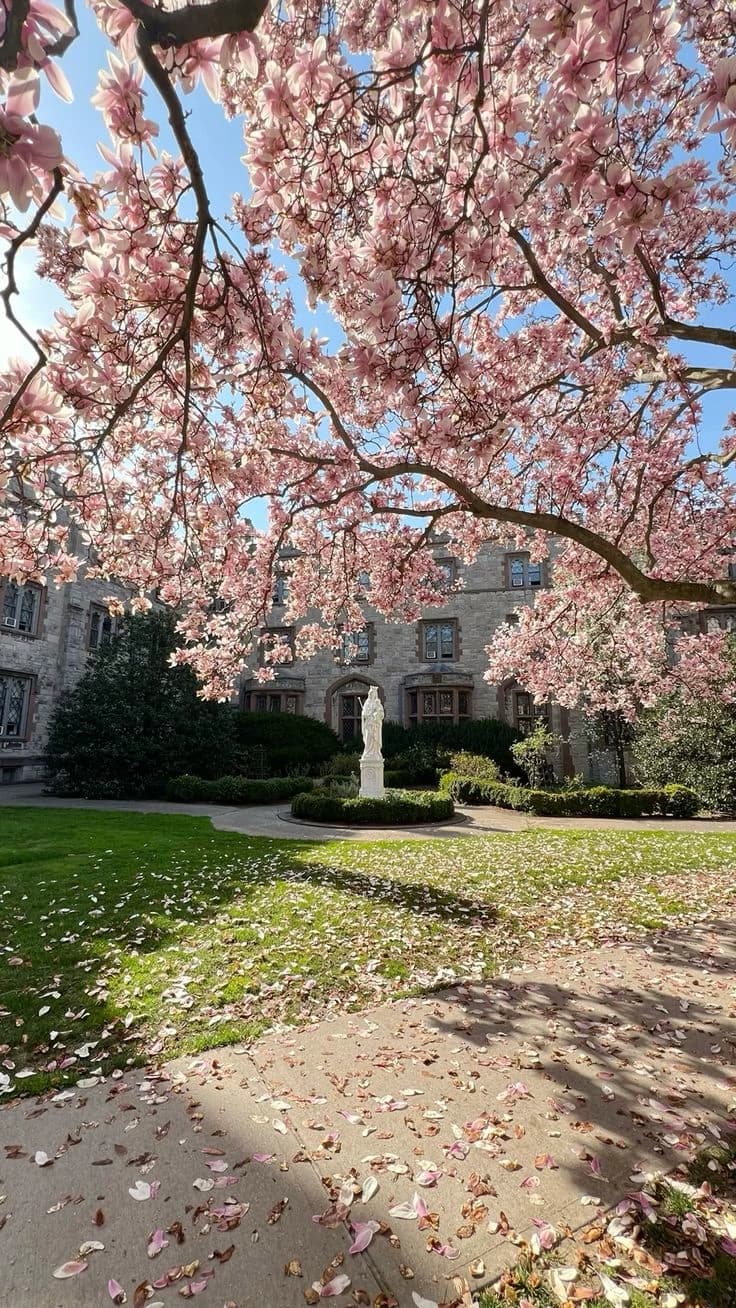 Veridian University thumbnail