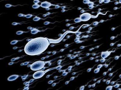 Sperm Race thumbnail