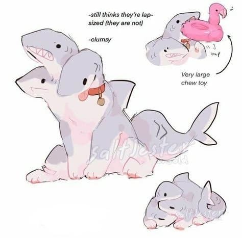 Shark thumbnail