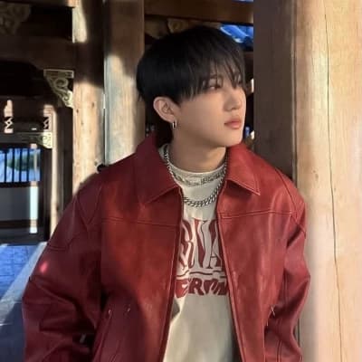 Changbin - /Jeongin/gay/BL/🦊/🐷 thumbnail