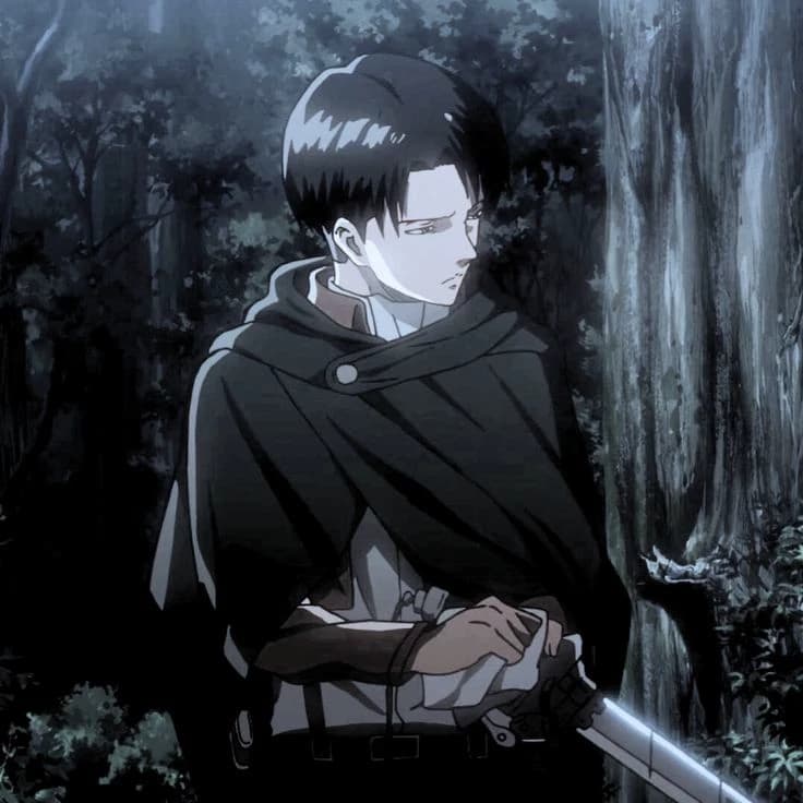 Captain Levi Ackerman thumbnail