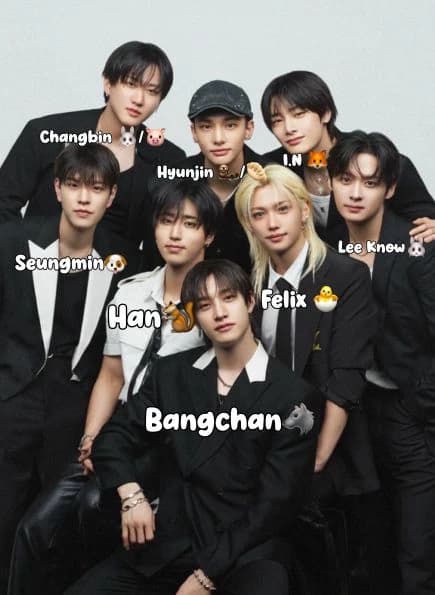 STRAY KIDS thumbnail