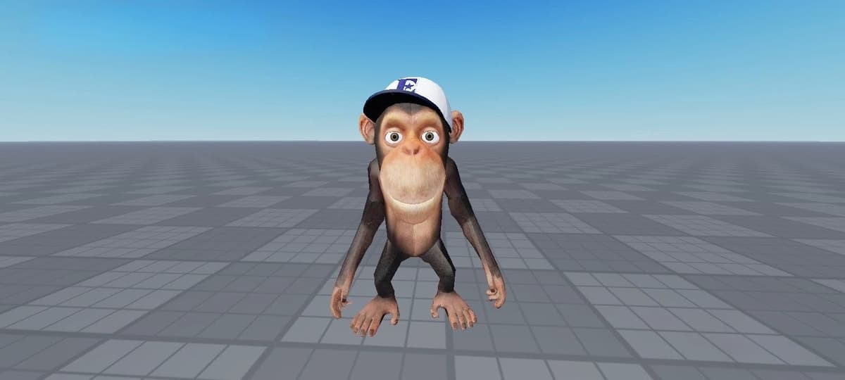 The monkey Thomas thumbnail