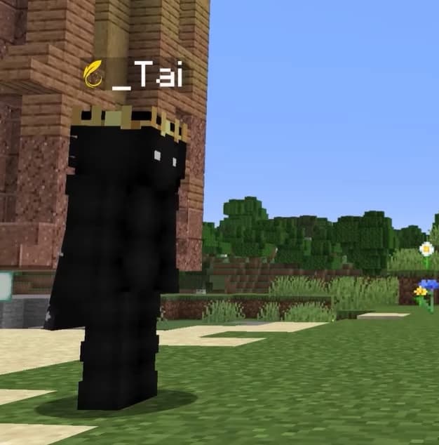 TaiMC thumbnail