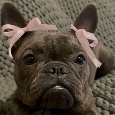 Coco thumbnail