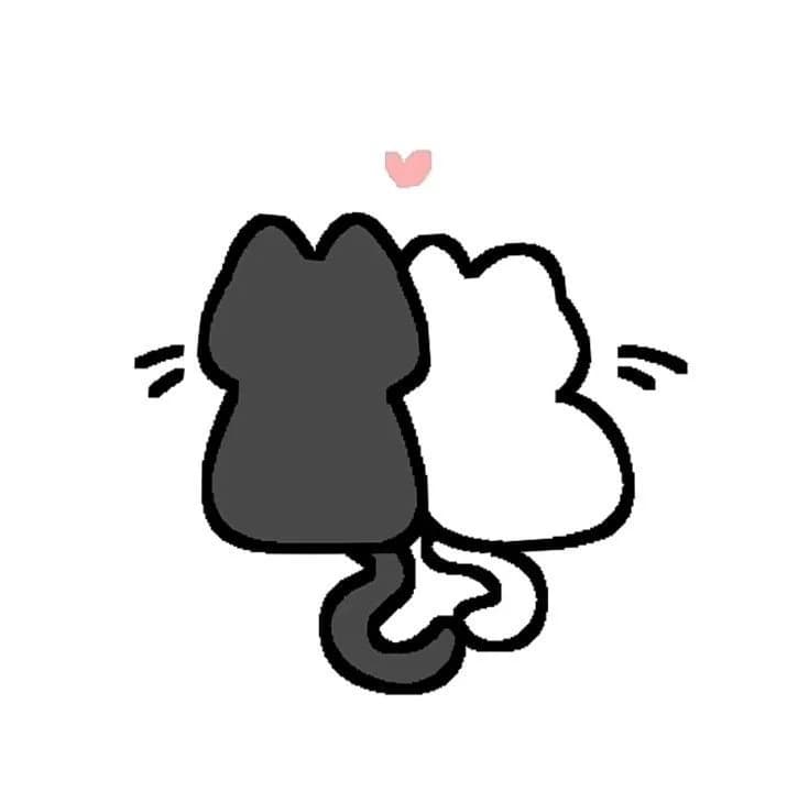 Cat x Cat BL thumbnail
