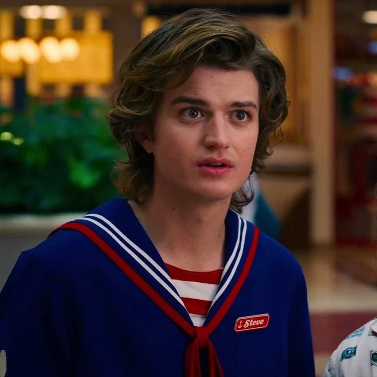 Steve Harrington thumbnail