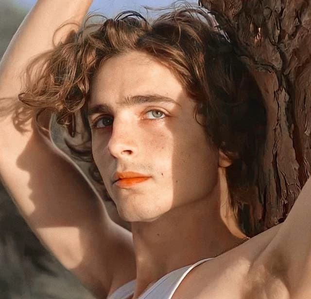 Timothée Chalamet thumbnail
