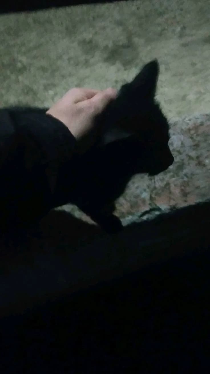 Draco thumbnail