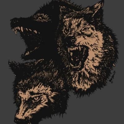 The Witch's Wolves: Nocthar, Kaelgar, Lykar thumbnail