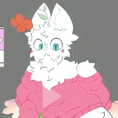 Shanque femboy thumbnail