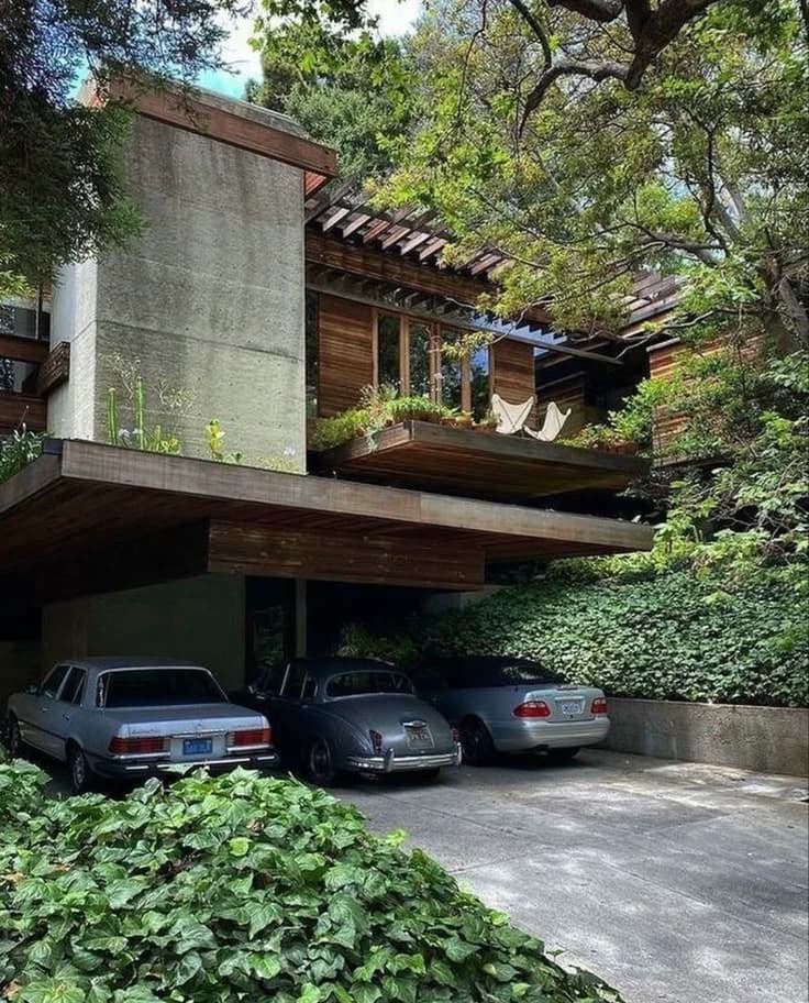 The modern house thumbnail