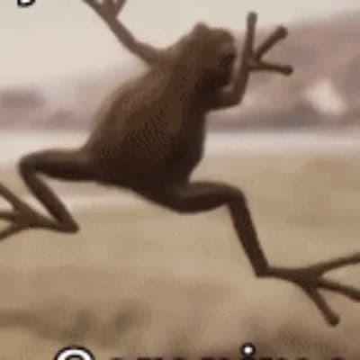 Chocolate Frog thumbnail