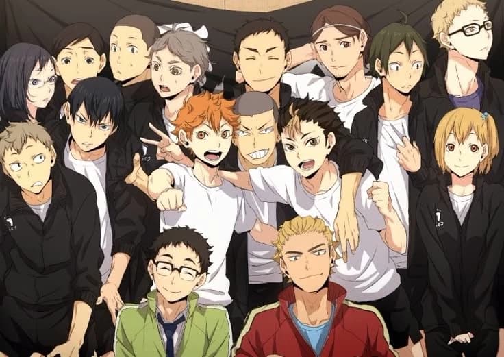 Karasuno Team  thumbnail