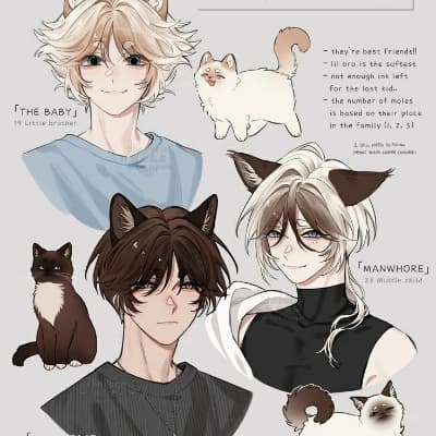 The Feline Trio (Jade, Theo, Kian) thumbnail