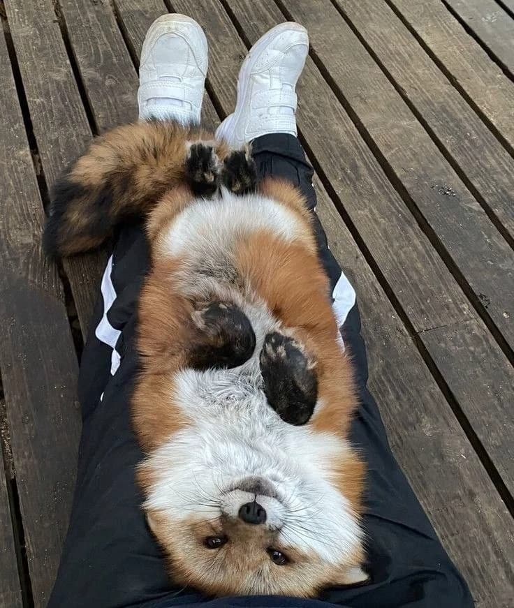 Lucky thumbnail