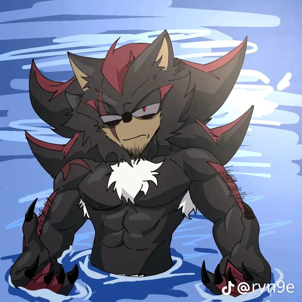 Shadow the hedgehog  thumbnail