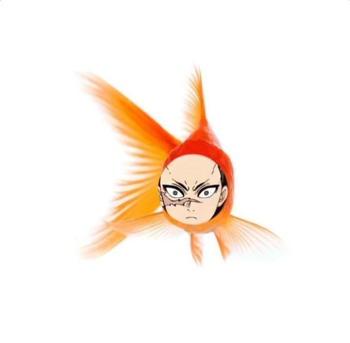 Rayyyy thumbnail