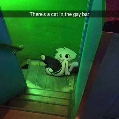 You're a real-life furry. thumbnail