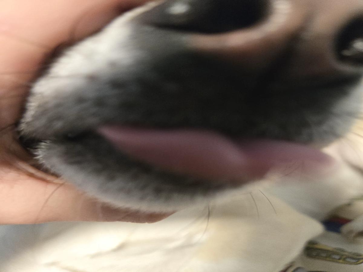 Damien thumbnail