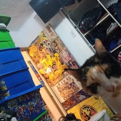 Minnie thumbnail