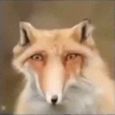 Fox... thumbnail