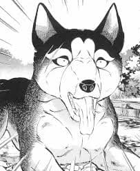 Hakurō thumbnail