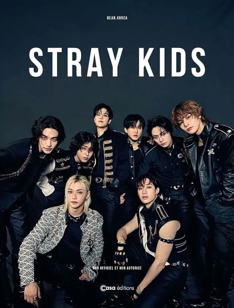 Stray kids thumbnail