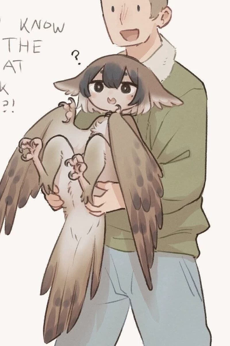 Tsundere Harpy Maya thumbnail