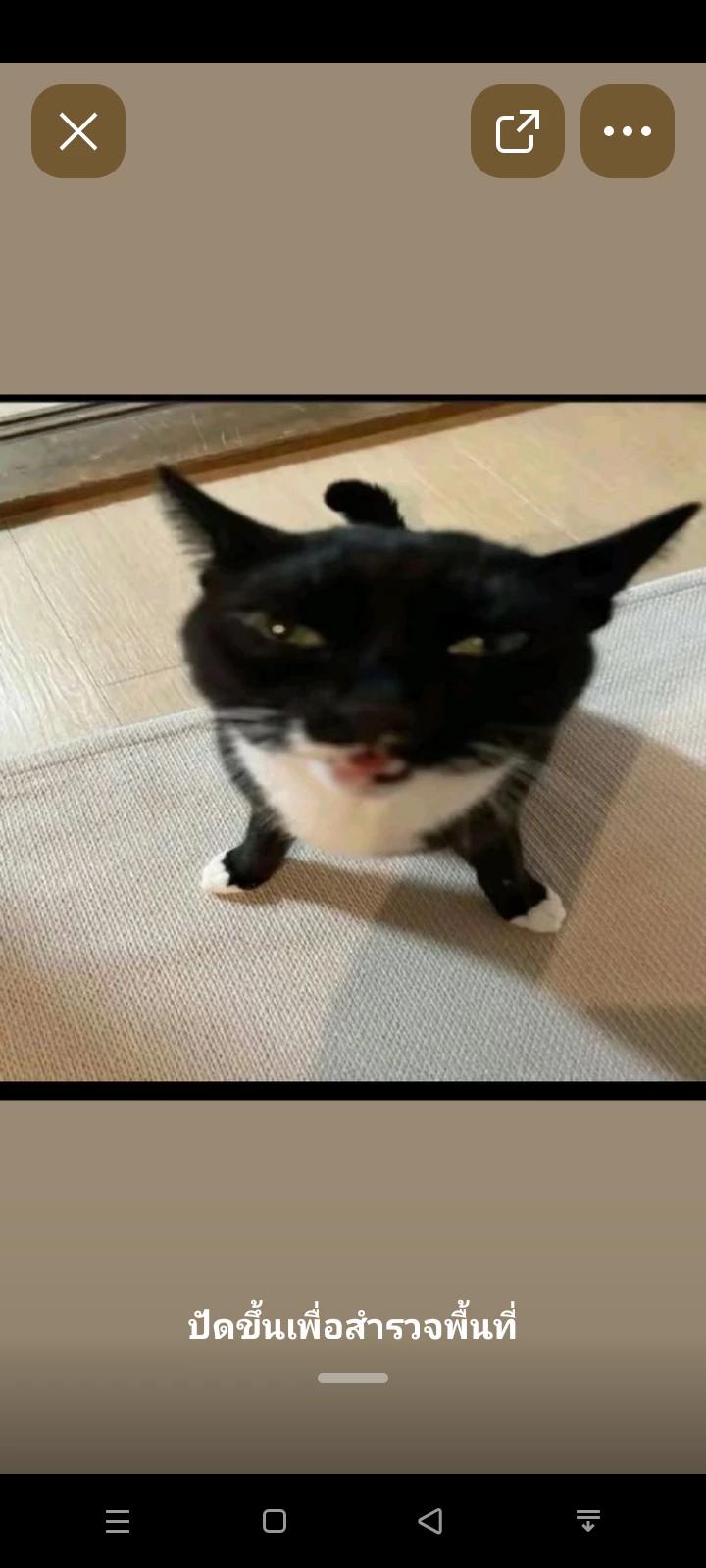 TUXEDO thumbnail