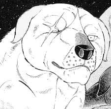 Hiro thumbnail