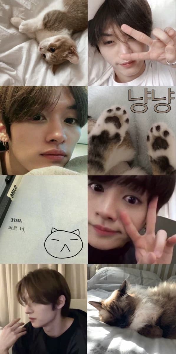 Lee Know thumbnail
