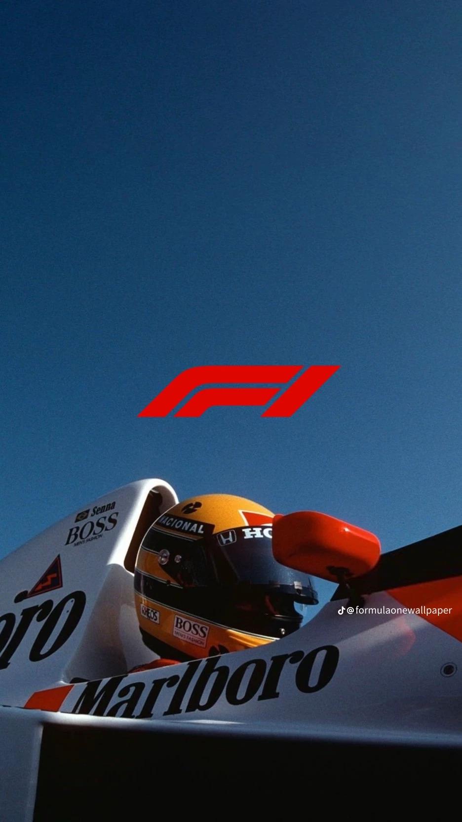 Formula 1 1991 thumbnail